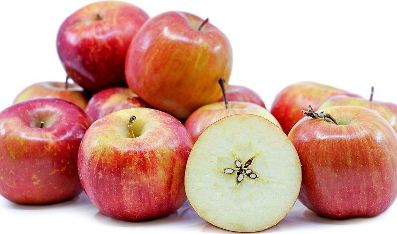 Fuji Apple